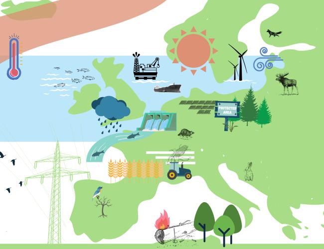 Biodiversity, climate change and energy